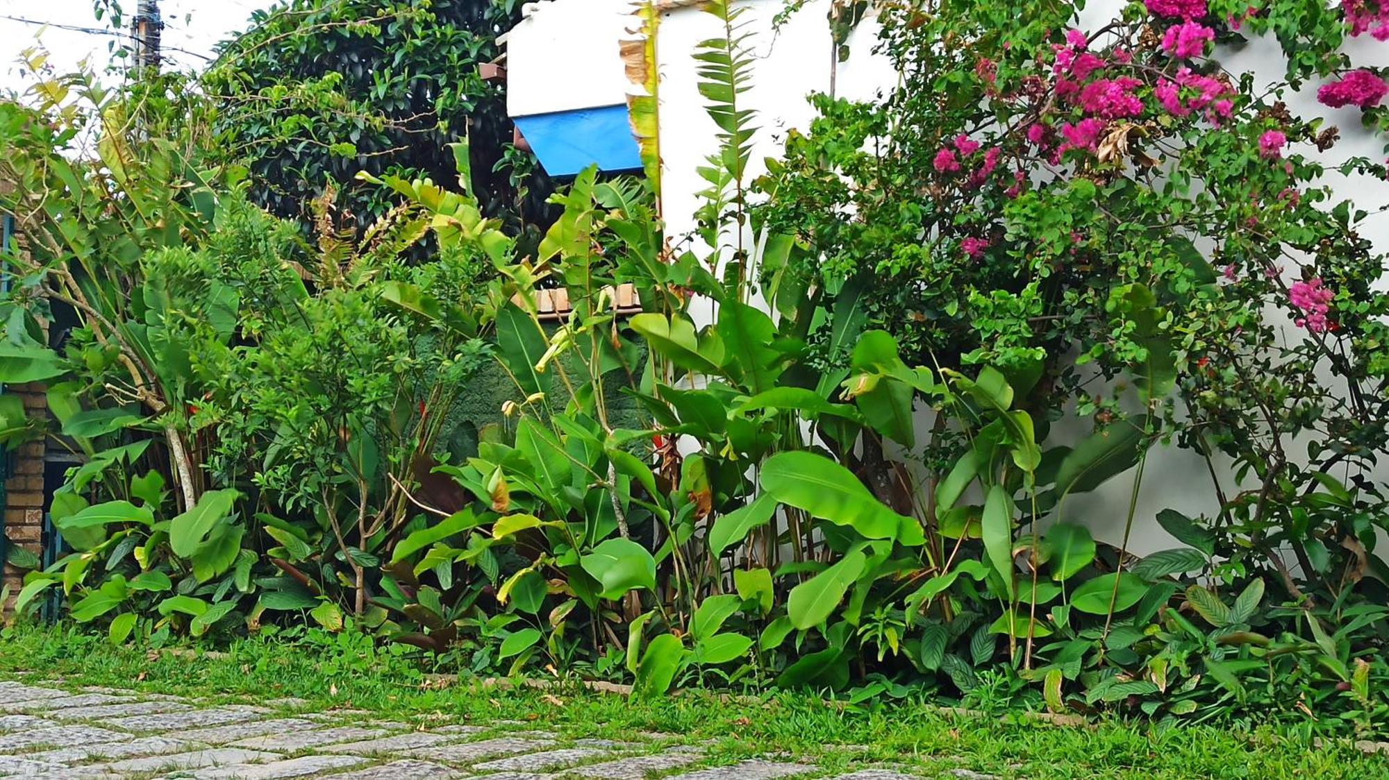 Pousada Natur Campeche — Photos 2